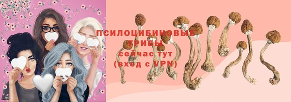 индика Армянск