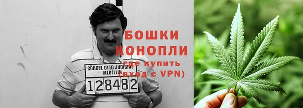 стаф Аркадак