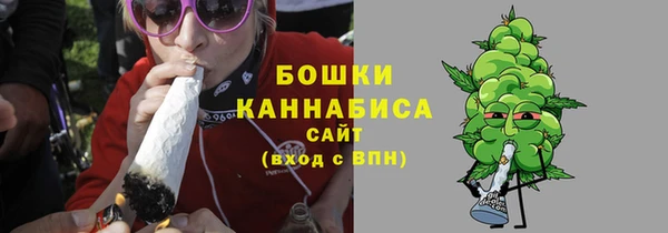 стаф Аркадак