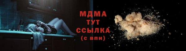 стаф Аркадак