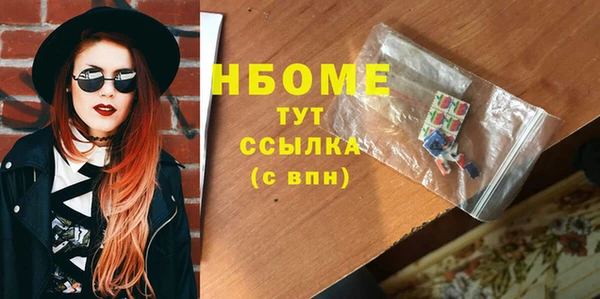 стаф Аркадак