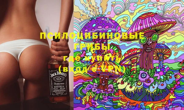 индика Армянск