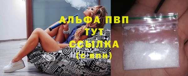 стаф Аркадак