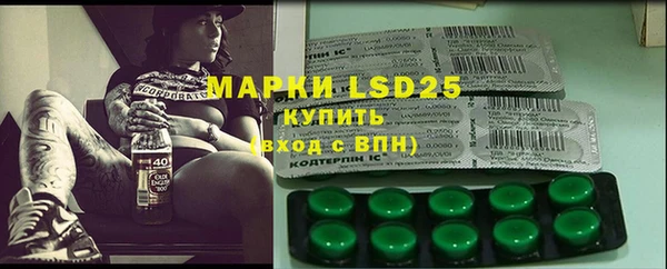 индика Армянск