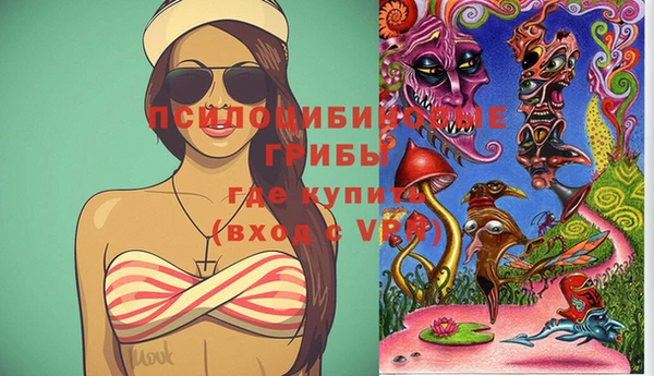 спиды Арсеньев
