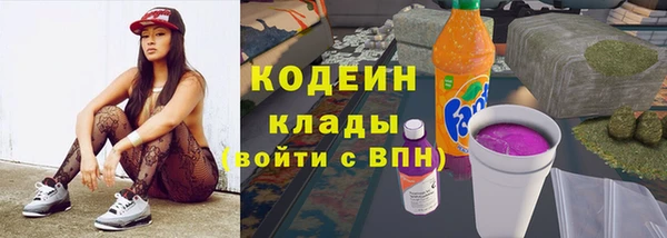 индика Армянск