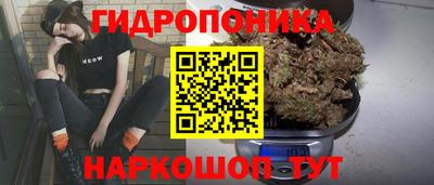 ECSTASY Донской