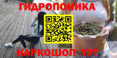ECSTASY Донской