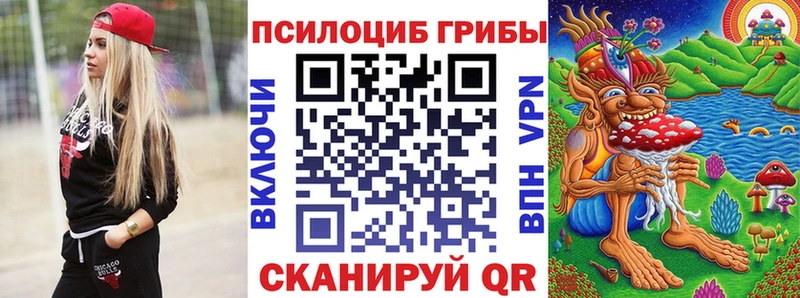 Псилоцибиновые грибы Psilocybe  Ногинск 