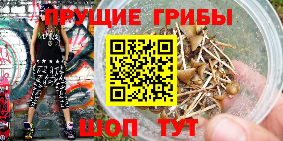 Галлюциногенные грибы мицелий  Вход с VPN  Ногинск 