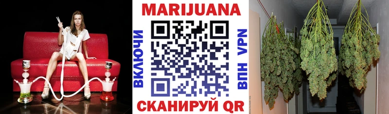 Шишки марихуана White Widow  как найти наркотики  Ногинск 